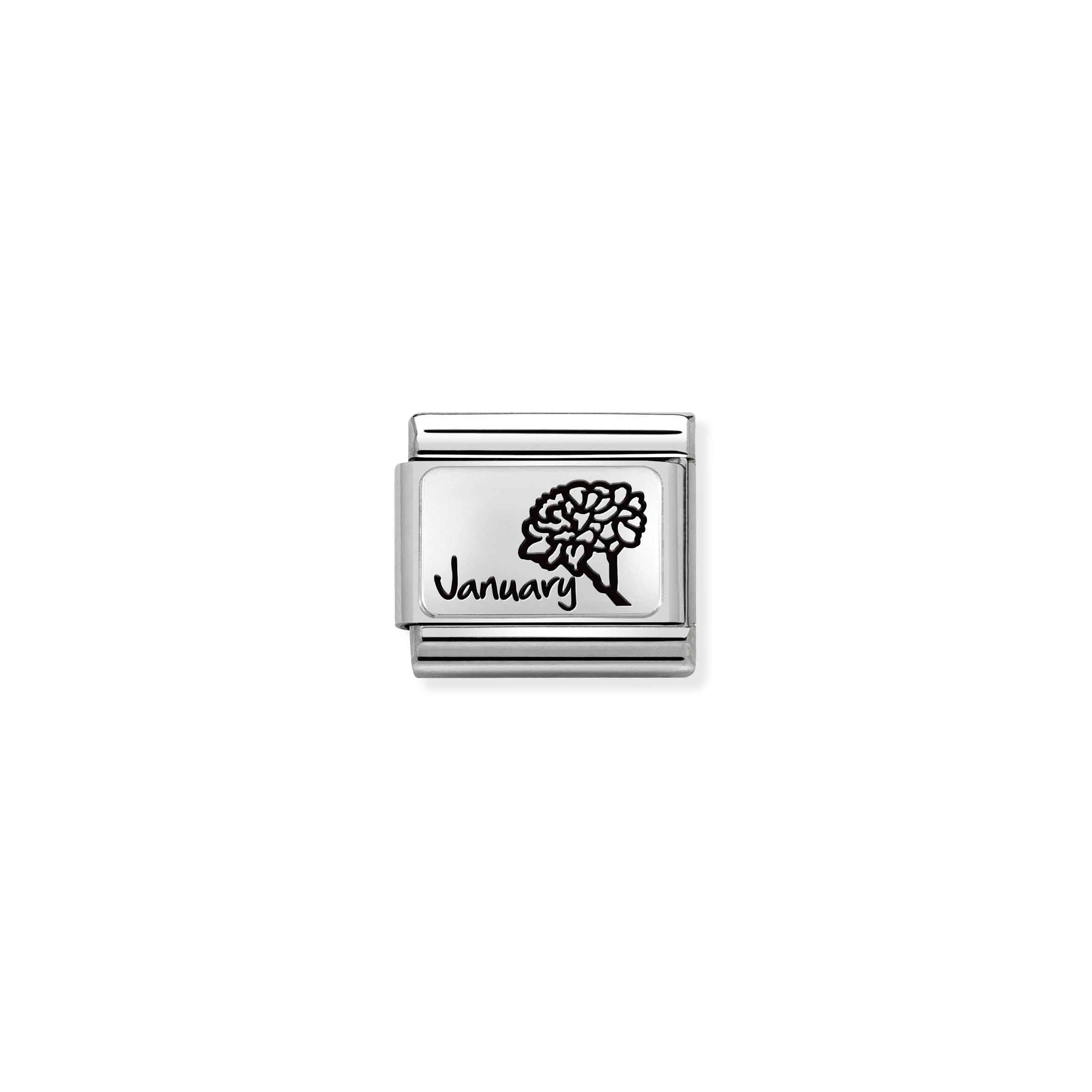COMPOSABLE CLASSIC LINK 330112/13 JANUARY FLOWER IN 925 SILVER
