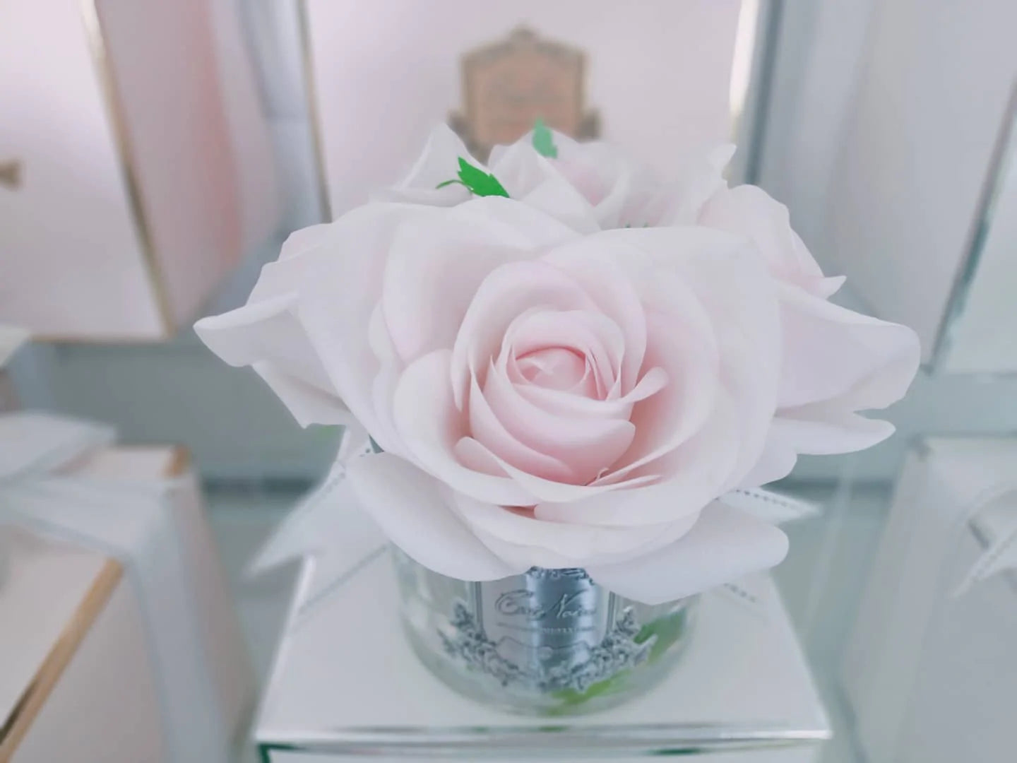 Cóte Noire Five Rose French Pink Clear Glass with Silver Crest
