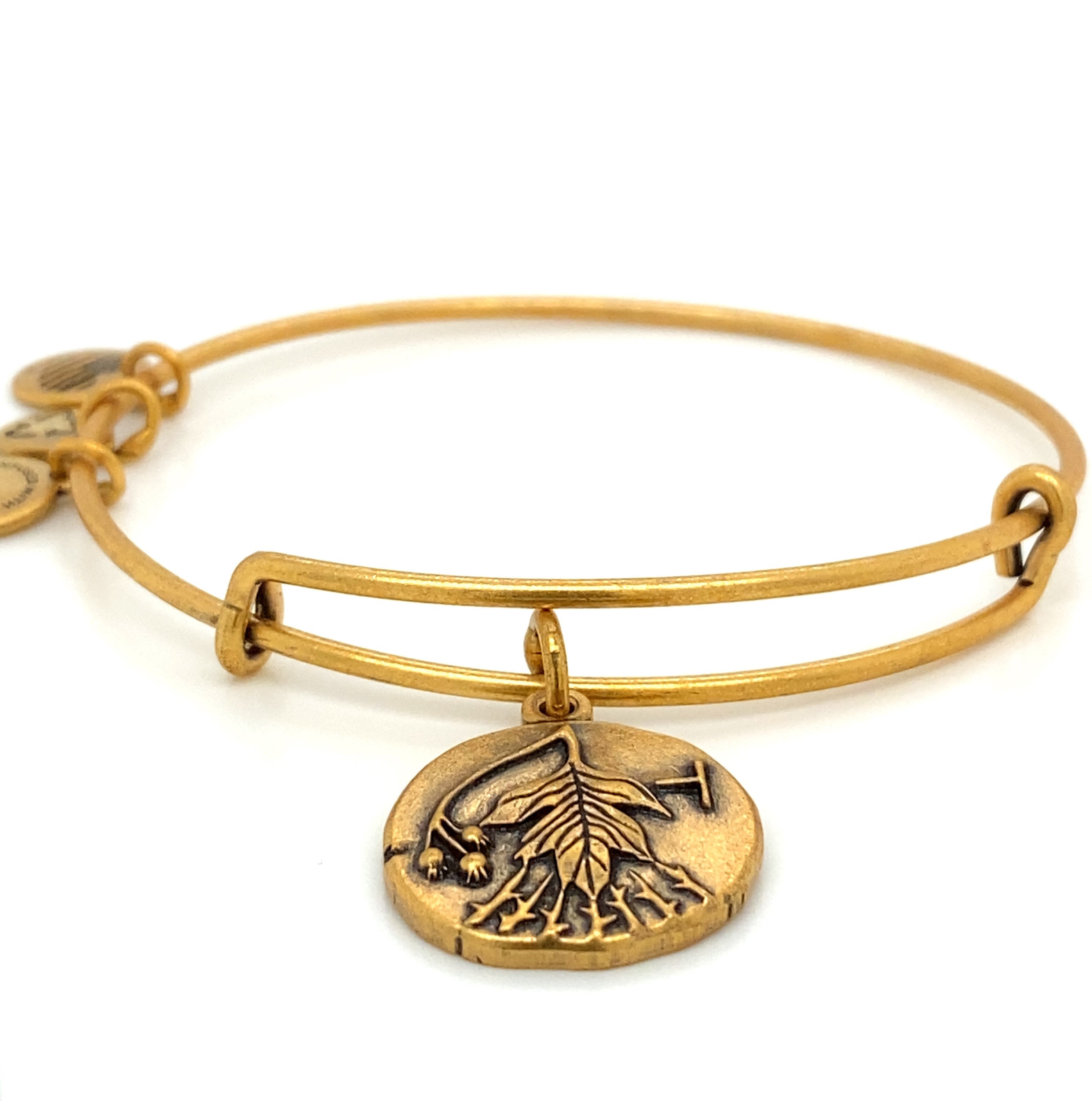 Alex And Ani- Hawthorn