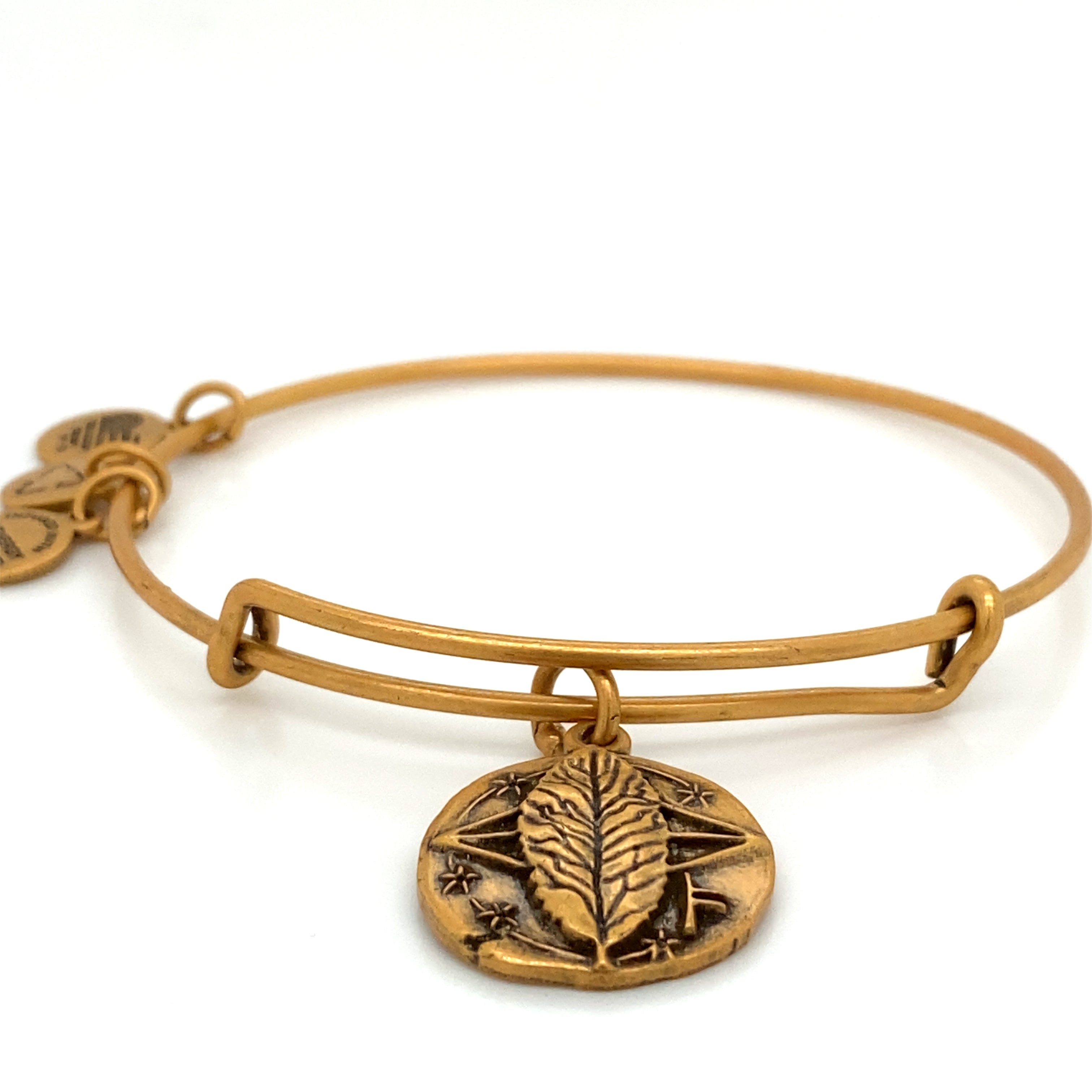 Alex And Ani- Rowan