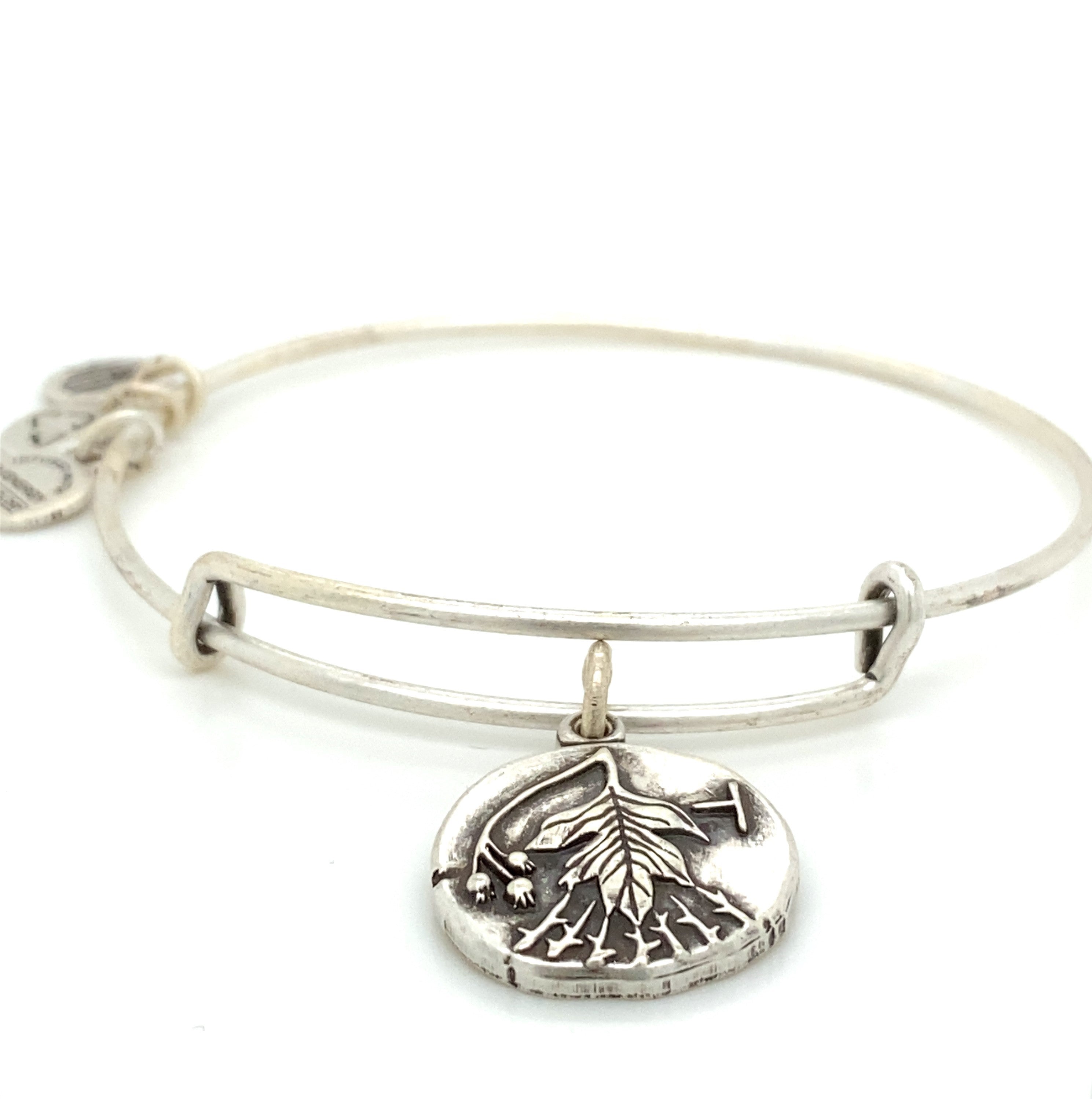 Alex And Ani- Hawthorn